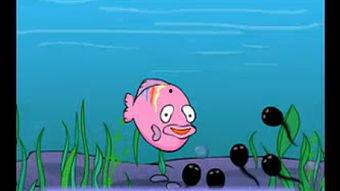 蝌蚪网在线观看视频,探索科技前沿的视觉之旅