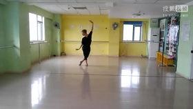 梅花泪舞蹈教学视频,优雅与力量的完美融合