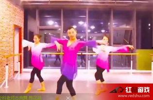 梅花泪舞蹈教学视频,优雅与力量的完美融合