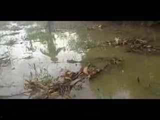 倒滑旱冰教学视频,轻松掌握逆风翻盘技巧