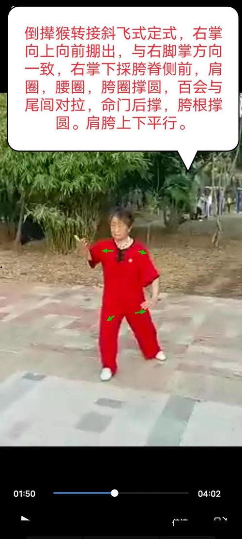 杨氏八十五太极视频