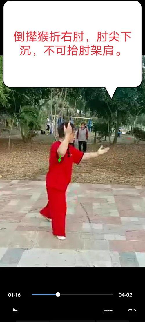 杨氏八十五太极视频