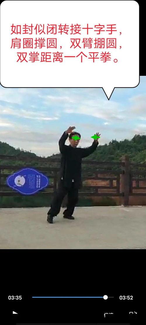 杨氏八十五太极视频