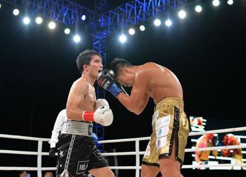 拳击方便视频直播,方便直播展现拳技魅力