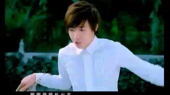 爱的华尔兹教学视频,浪漫舞步入门指南