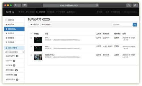 回收站的视频,探寻数字垃圾背后的故事