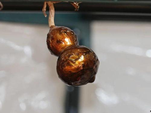 葫芦怎样刷漆视频教程