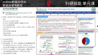 生物信息视频,生物信息视频深度解析
